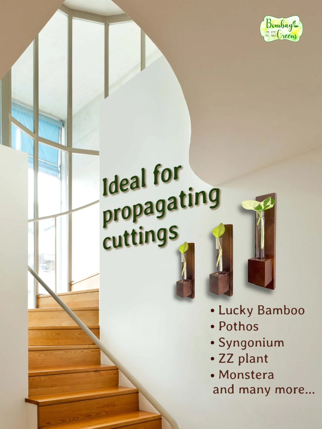 Wooden Test Tube Wall Planter – Set of 3